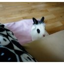 복길농장 이미지