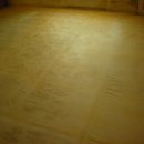 치자로 물들이기 이미지