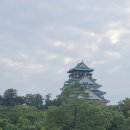 노미야인터내셔널 이미지