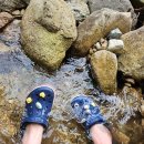 송화동약국 이미지