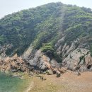 강화섬공인중개사사무소 네이버블로그