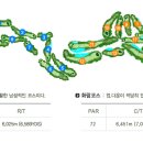 경주신라컨트리클럽골프연습장 이미지