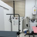 강아지미용실 이미지