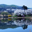 꽃소리BLOSSOM