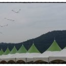 다산행정사 이미지