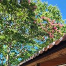 청우작은도서관 이미지