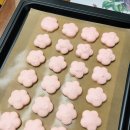 벚꽃 마카롱 이미지