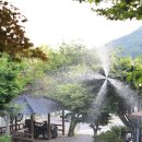 카페담 - 화순군 천운길 10 | 카페담