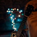 우쿨렐레 1:1 개인레슨 이미지