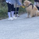 세용농장 이미지