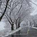 오산민박 이미지