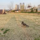 엔제리너스울산성남강변점 이미지