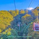 하늘공원(하부) 이미지