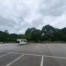 290 | 전북가볼만한곳 고창 선운사 초록초록합니다.