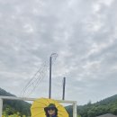 태백 해바라기축제와 황지연못 이미지