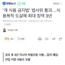 '개 식용 금지법' 법사위 통과…식용목적 도살에 최대 징역 3년 이미지