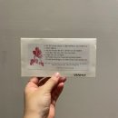사계절축사 | 광주 웨딩홀 하우스오브드메르 지젤홀, 정원헬퍼와 함께한 본식후기!