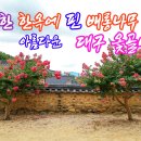 옻골로 티스토리