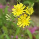 범안종합사회복지관(옥길분관) 이미지