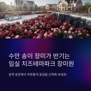 오월N장미 | 임실N장미축제 2026 일정 무료입장 주차 총정리