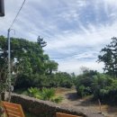 오랑주리스테이 이미지