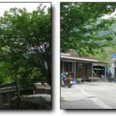 온 민박 이미지