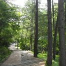 장동산림욕장 이미지