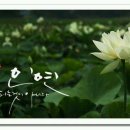 달사과마을 네이버블로그