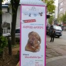 내개로와 이미지