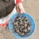 돌석이네해장국 이미지