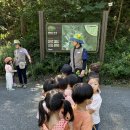 씩씩한반 - 문성자연휴양림🌳🌳 이미지