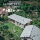 스테이오아 | 제주 조천 함덕 동쪽 숙소 180평 대지의 제주도 자쿠지 독채숙소 추천 스테이오아