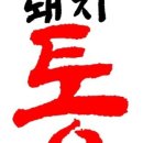 돼지통 이미지
