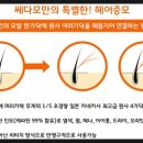 쎄다모 이미지