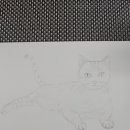 힐링 어반 스케치 이미지