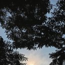 연세라이프 | 서울 대학로 혜화 가족 연극 추천 '뷰티풀라이프' 후기｜부모님과 함께 보고 눈물 흘린 인생 연극 #백수...