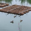 불굴의떡볶이 홍성중앙점 이미지