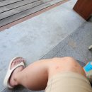 [신혼여행 5일차] 두짓타니 몰디브 조식 뷔페 더 마켓 후기