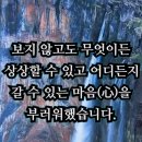 풍연심 이미지