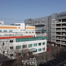 새솔다이아몬드 이미지