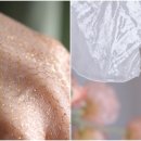 자연-탄생 이미지