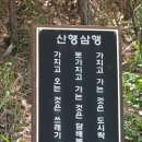 포항 동대산과바데산 이미지