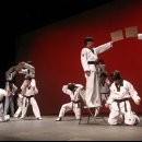 경희대 태권스쿨 이미지