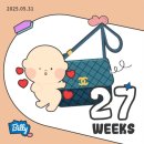 과일깎는오빠 | 임신일기 7편｜임신27~30주/임신8개월/후기시작/무거워지는 몸