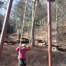 지리산구룡관광호텔 Daum카페