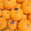 달빛과일 공도점 이미지