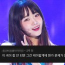 씨에스타 이미지