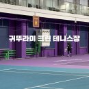 정크린 - 평택시 안청로1길 21 | 귀뚜라미 크린 테니스장 후기 (예약 및 주차)