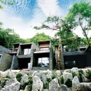 포레스트리솜 이미지