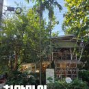 내추럴마켓(Natural Market) | 3박5일 치앙마이 반해버린 치앙마이의 매력, 참차마켓 후기